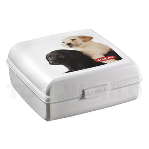 Foderbeholder Hunde Boks, 2,7 liter Curver 