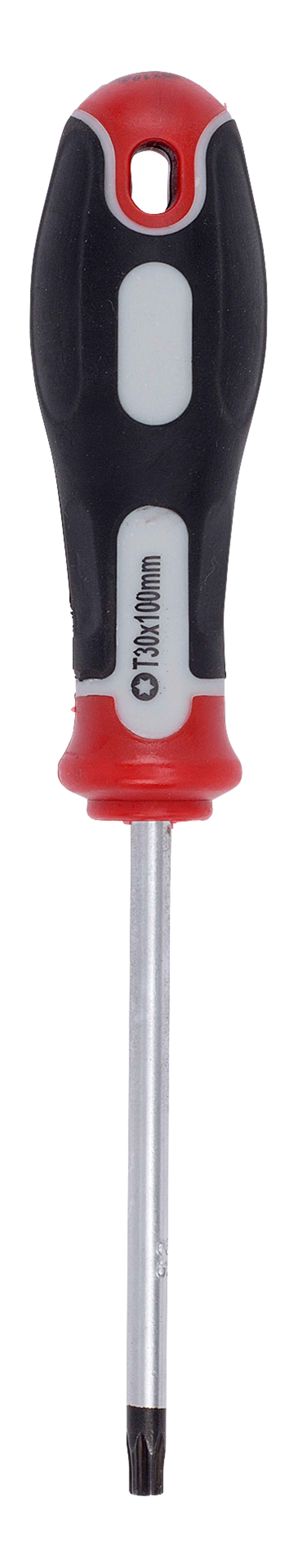 Skruetrækker TX30x100mm
