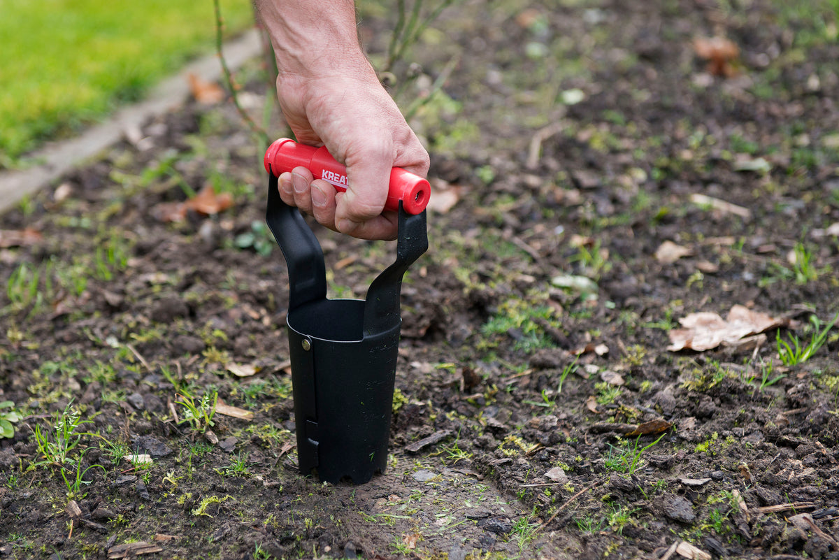 Løgplanter 240 x 80 mm