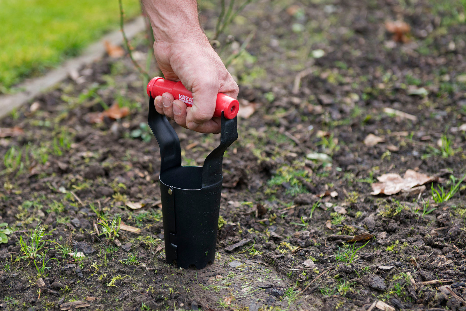 Løgplanter 240 x 80 mm